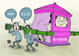 打工娃买的什么基金好（打工仔买什么保险好）