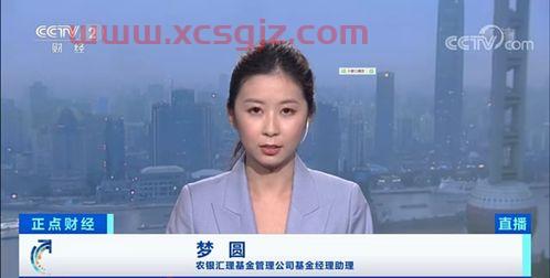 美女基金经理投资思路（美女基金经理人）