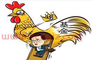 小白买基金最近怎么样了（小白买基金能赚钱吗）
