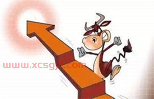华商基金经理收入排名（华商基金公司排名）