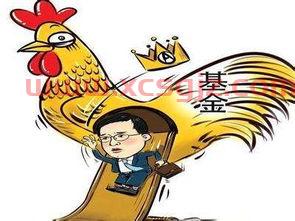 投资买基金的人怎么样了（买基金的人挣钱和赔钱的比例）