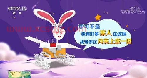 中国中兔