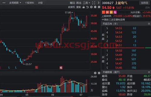 概念股票